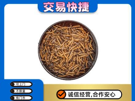阜新回收散虫草