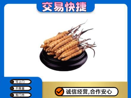 阜新回收冬虫夏草多少钱每克